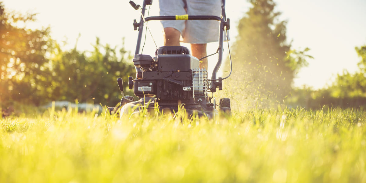 Покос травы на участке