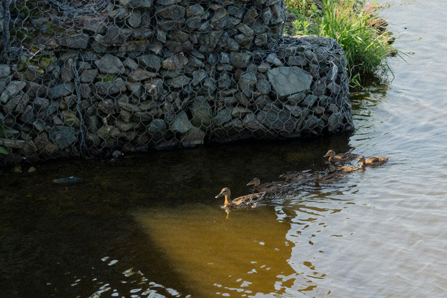 vodostochnaya-kanava-1