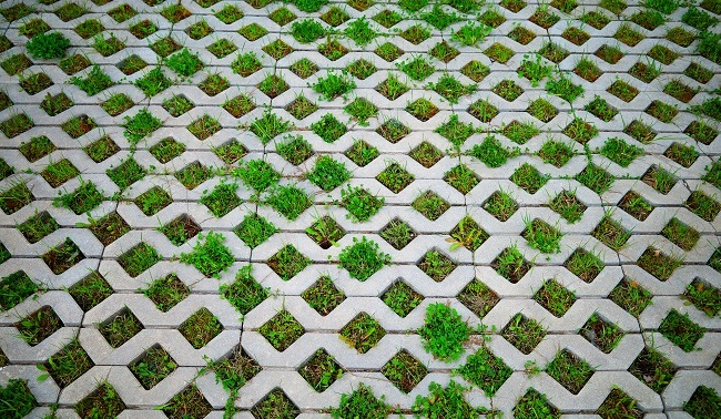 asphalt-at-car-parking-te