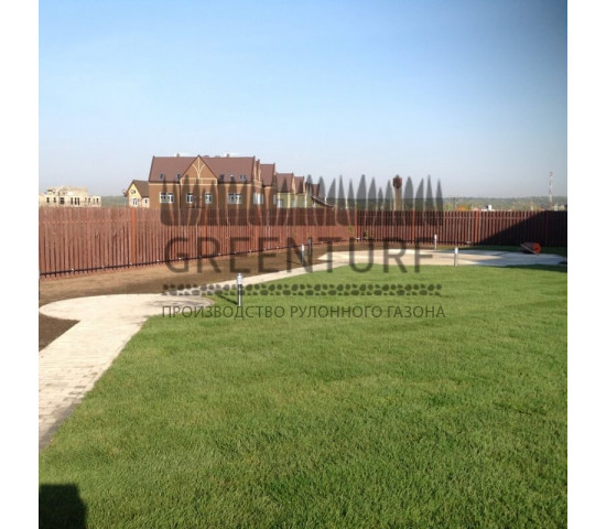 Укладка рулонного газона, КП «Мартемьяново» - фото - 7