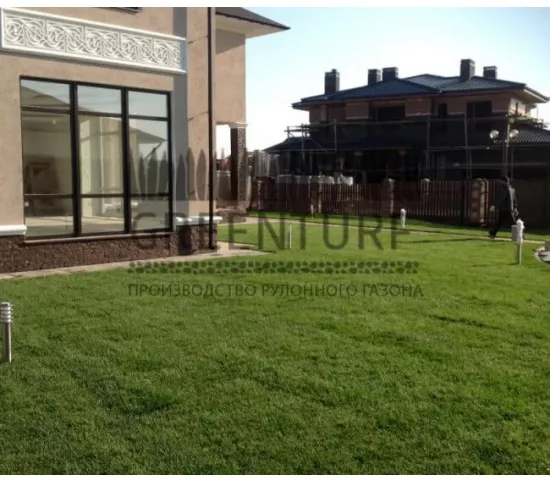 Укладка рулонного газона, КП «Мартемьяново» - фото - 8