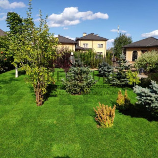 Рулонный газон «под ключ» - фото - 6