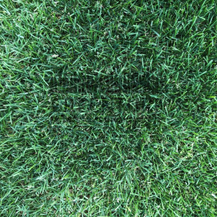 Премиум Грин - фото - 9